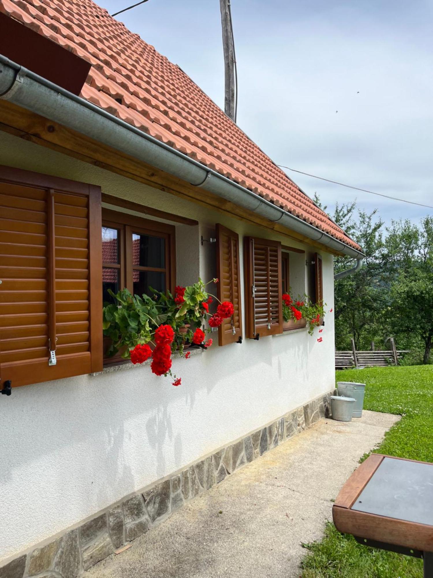 Domacija Brdar Villa Adlesici Kültér fotó