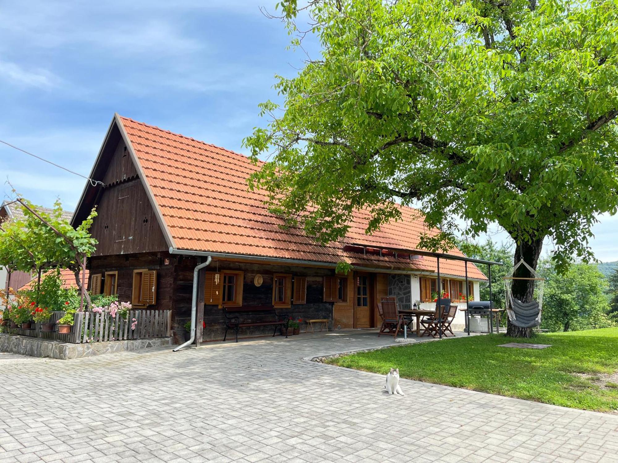 Domacija Brdar Villa Adlesici Kültér fotó